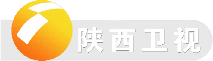Shaanxi Television