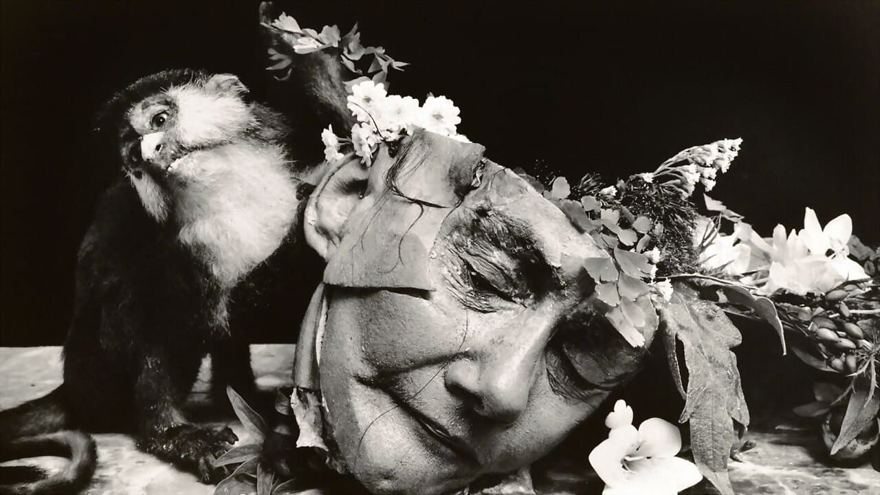 Witkin & Witkin