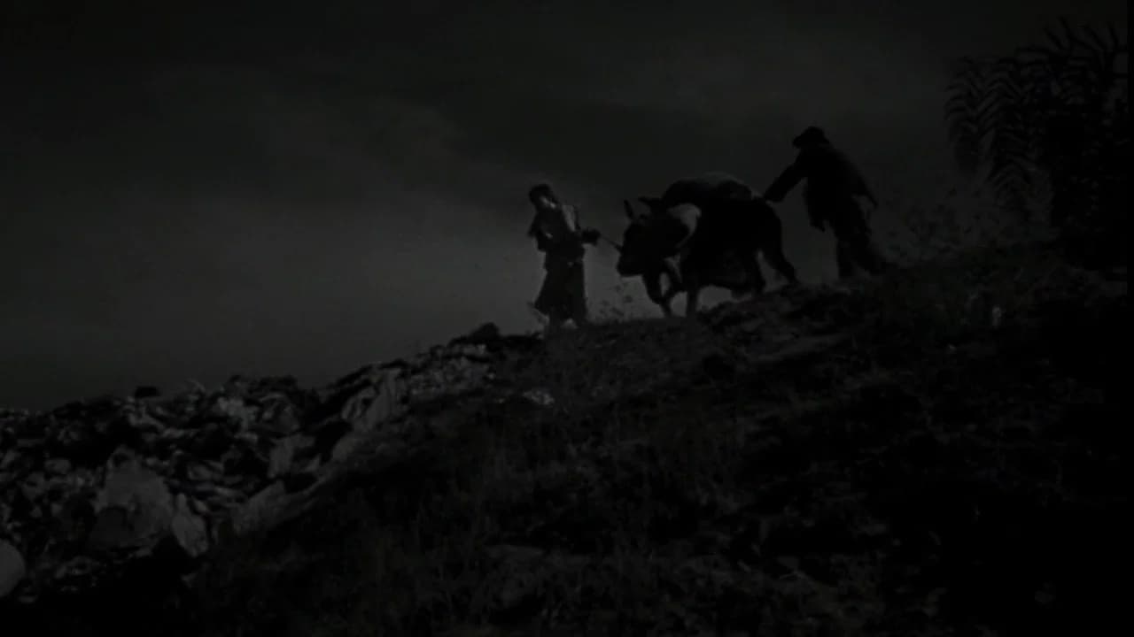 The Young and the Damned
