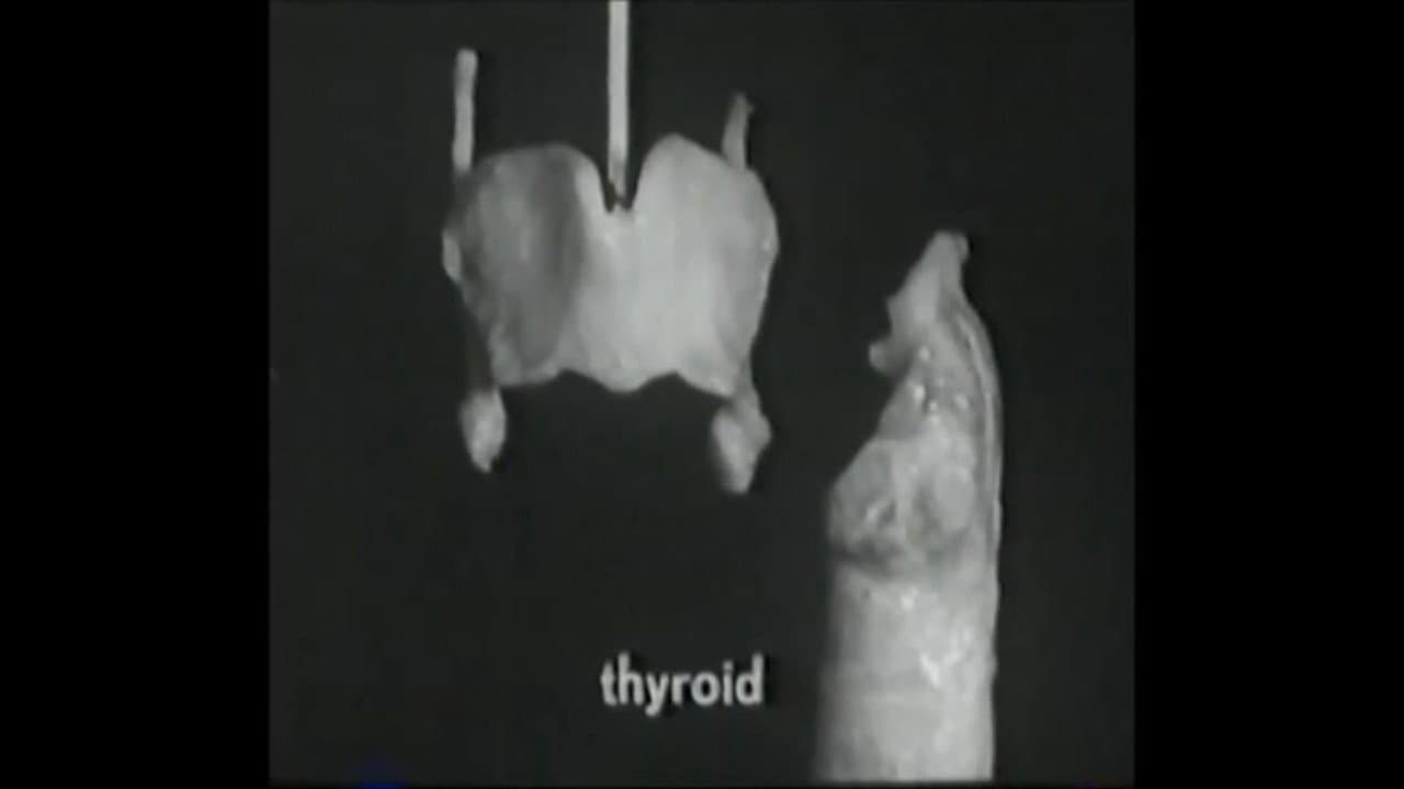 Voice Production: The Vibrating Larynx