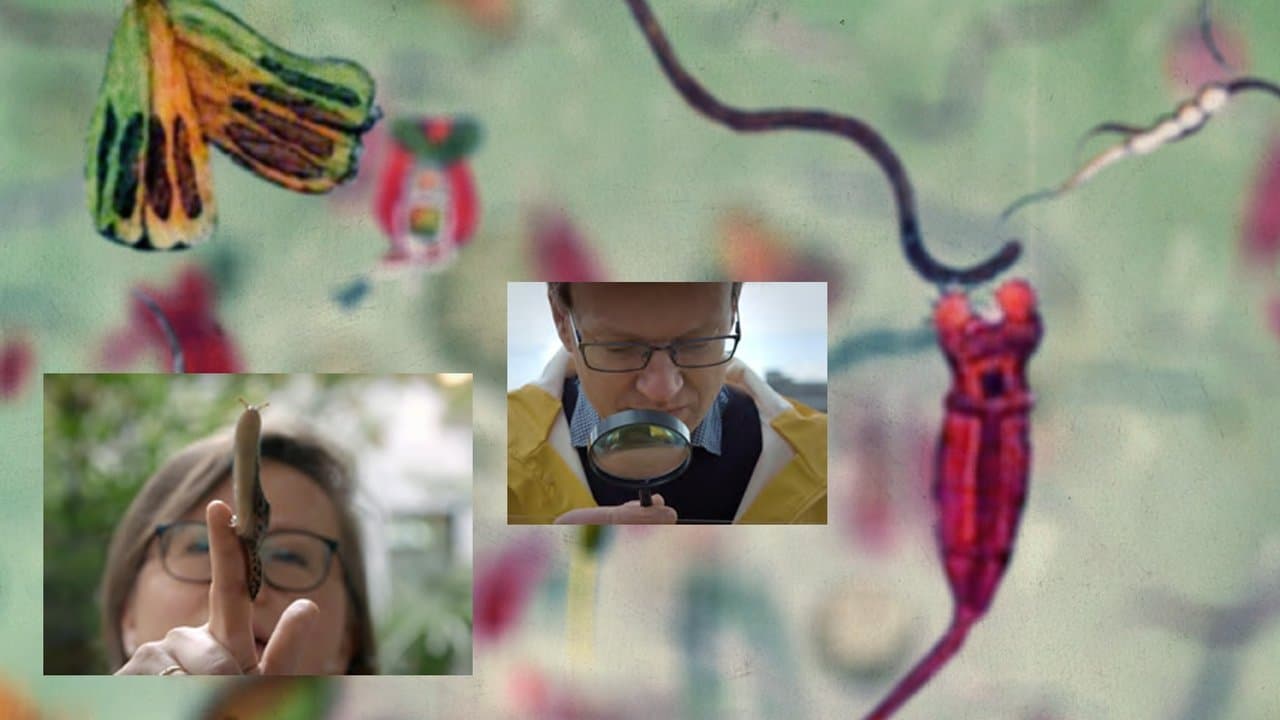 42: The Answer to Almost Everything