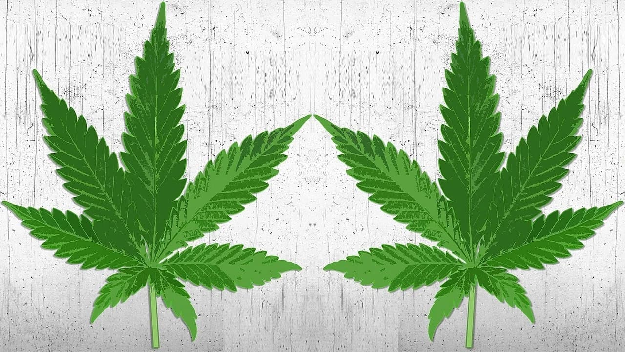 High There