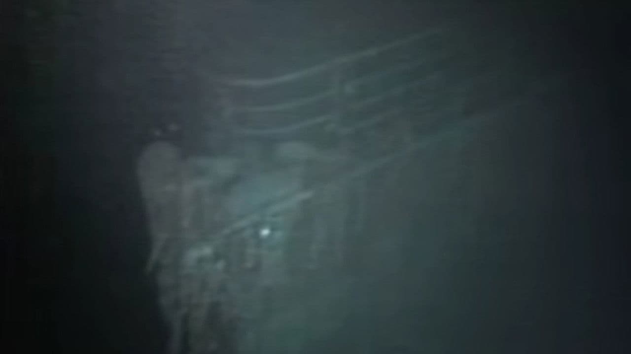 Titanic: The Nightmare and the Dream