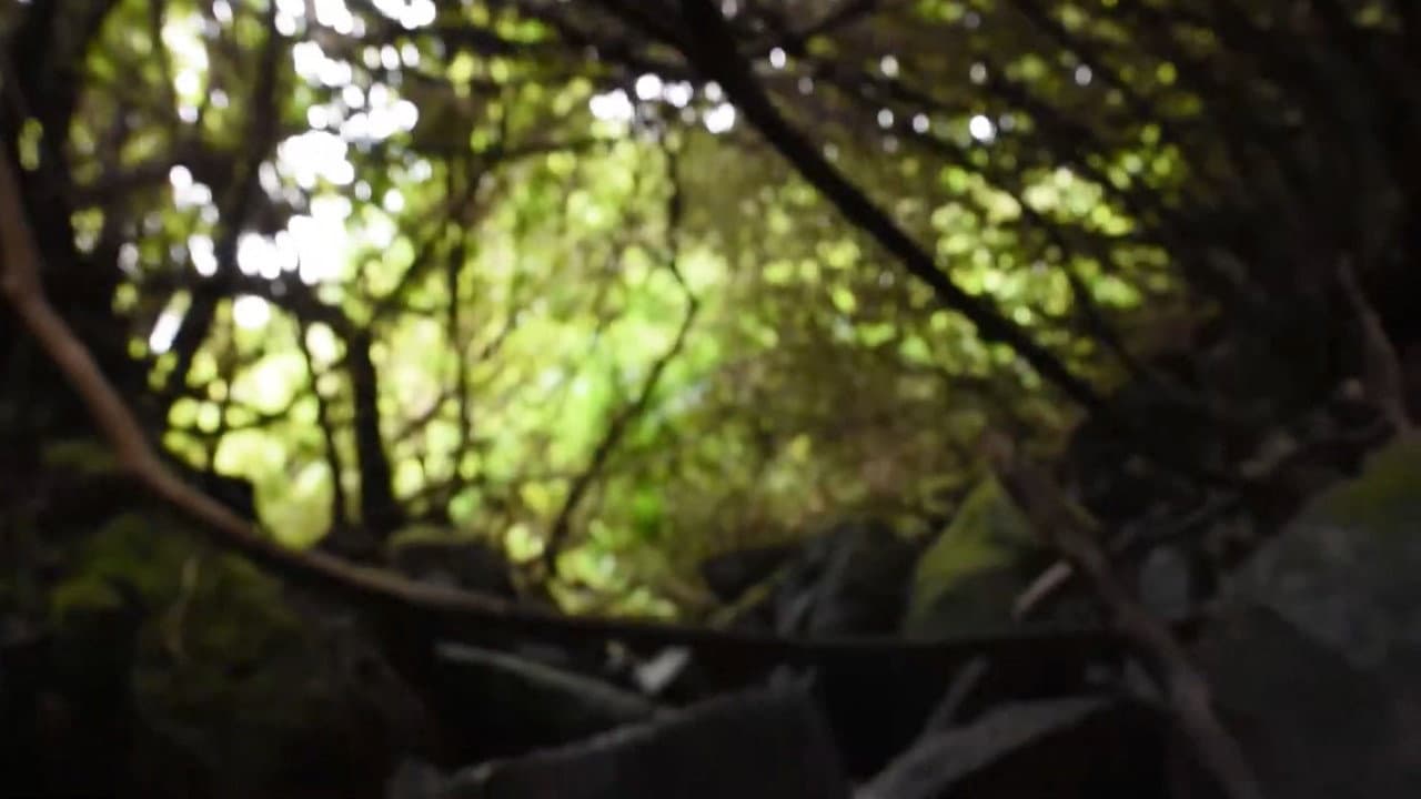 Inner Journey