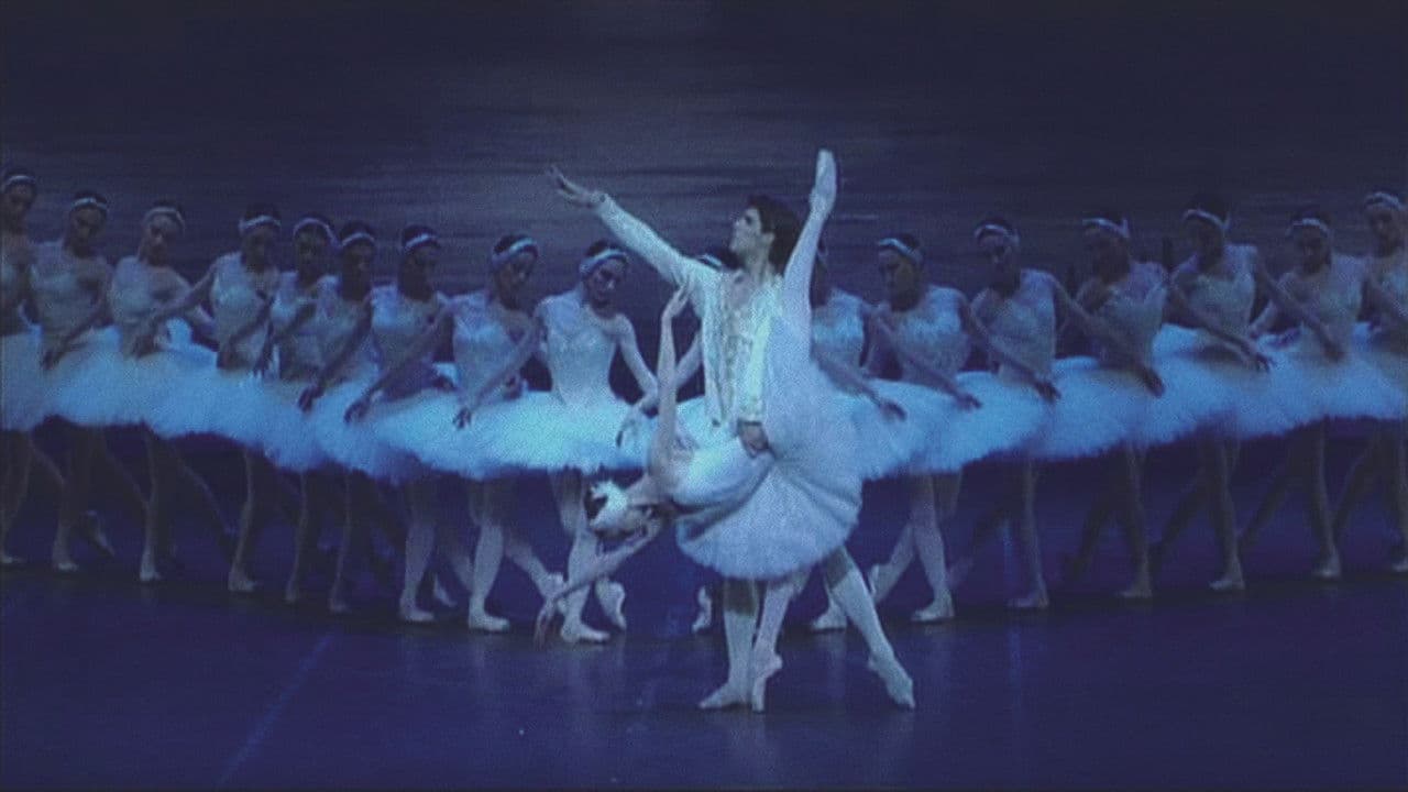 Pyotr Tchaikovsky Ballet 'Swan Lake' 2007 at the Mariinsky Theatre in St Petersburg