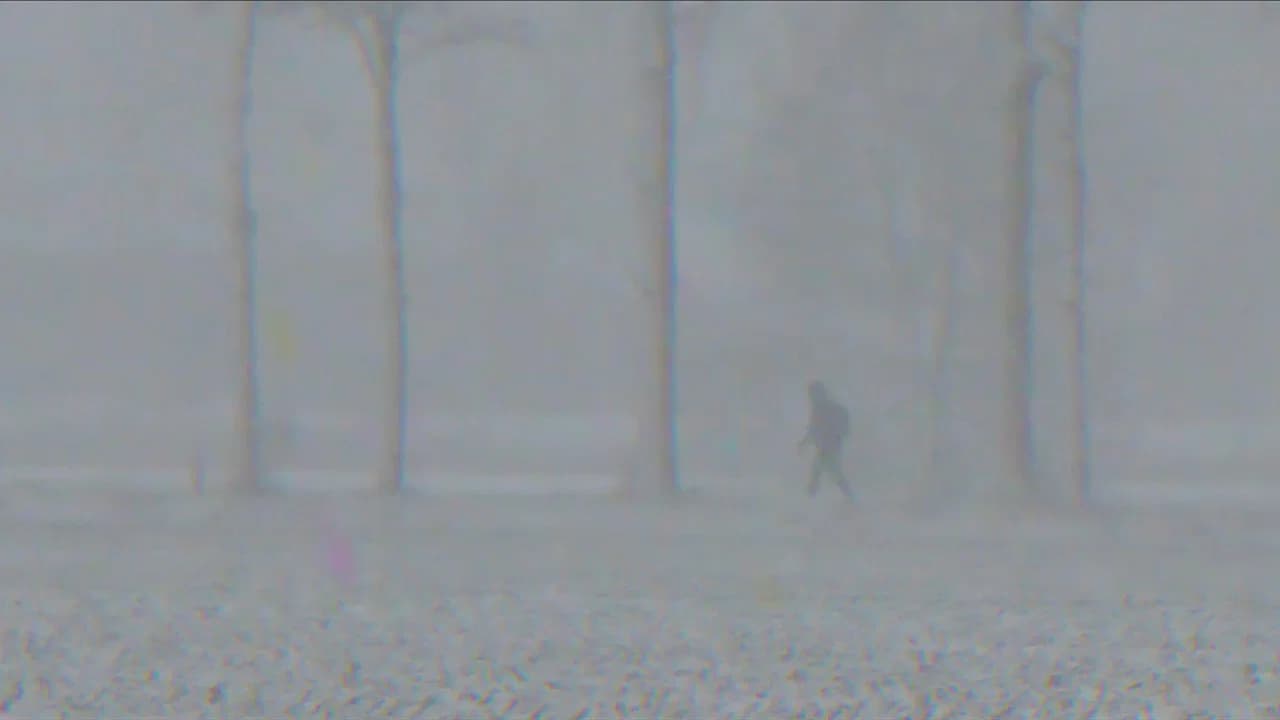 Midwinter Hue