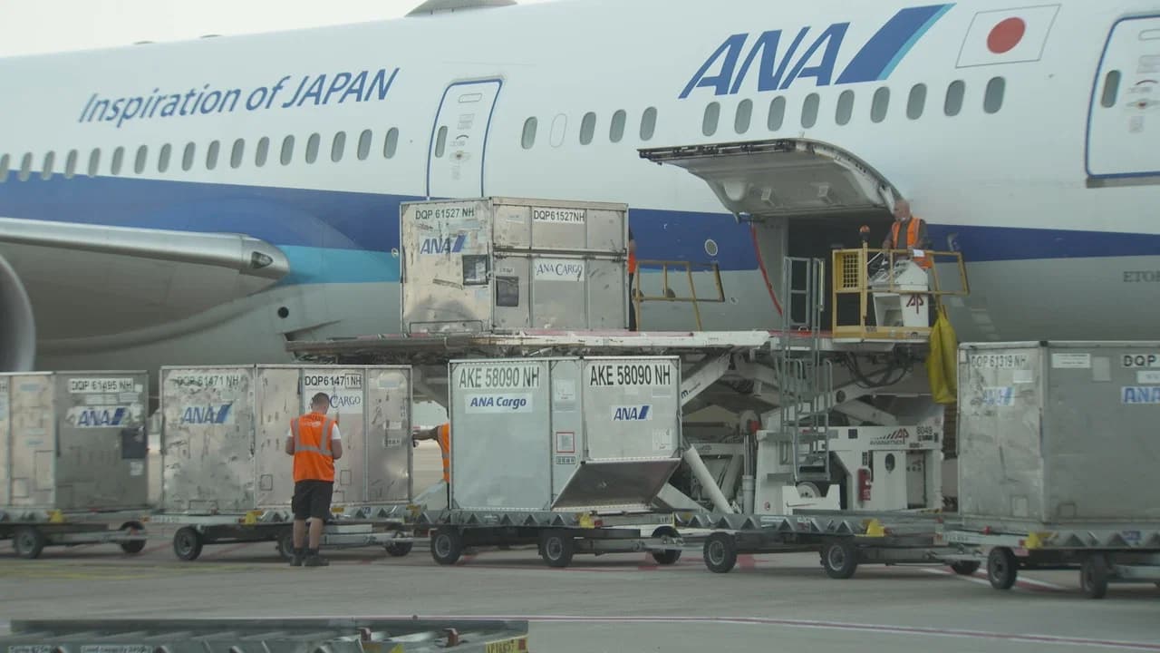 Luchthaven 24/7