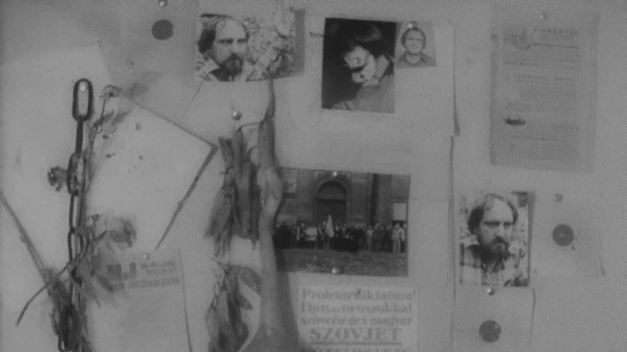 In memoriam Hajnóczy Péter