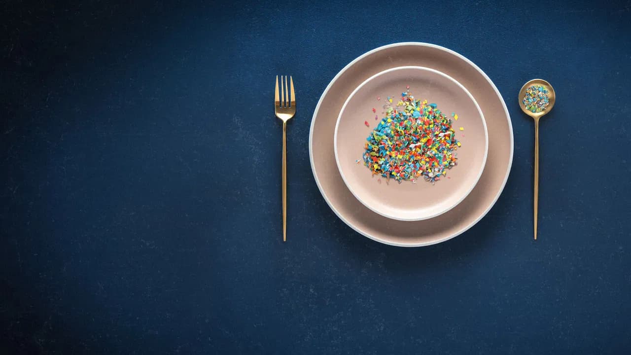 The Plastic Detox