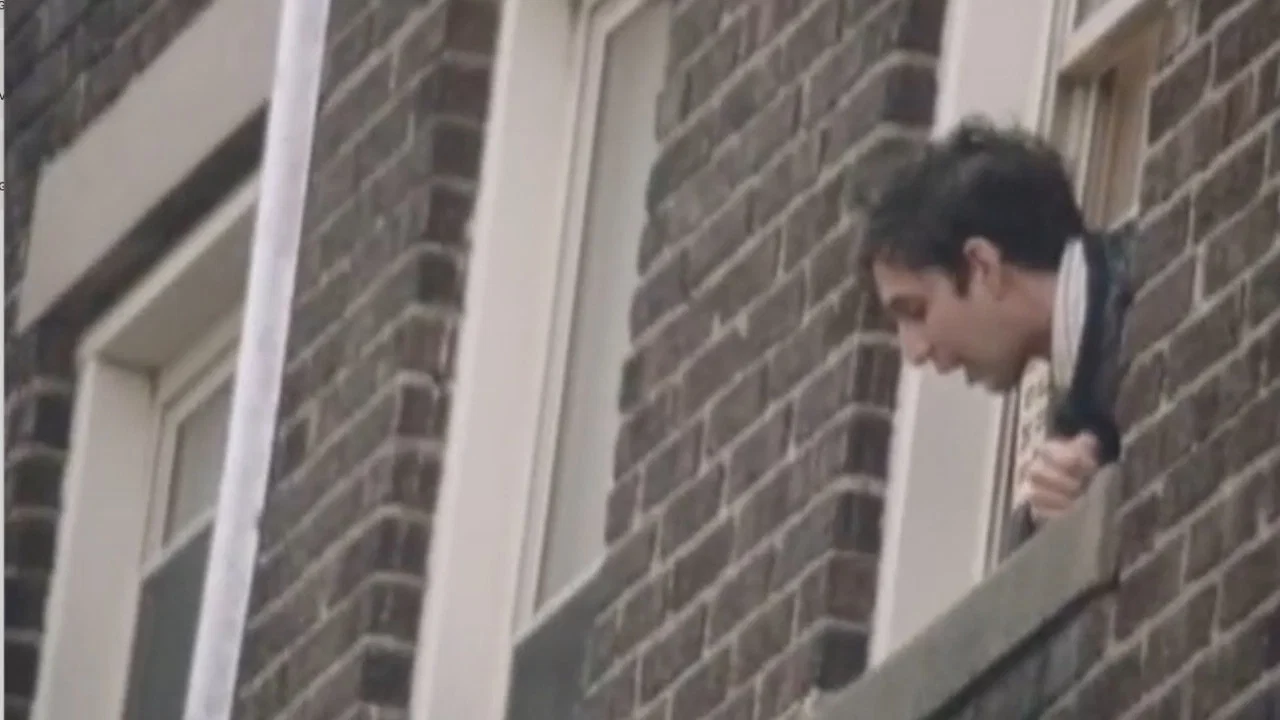 The Back of Her Head