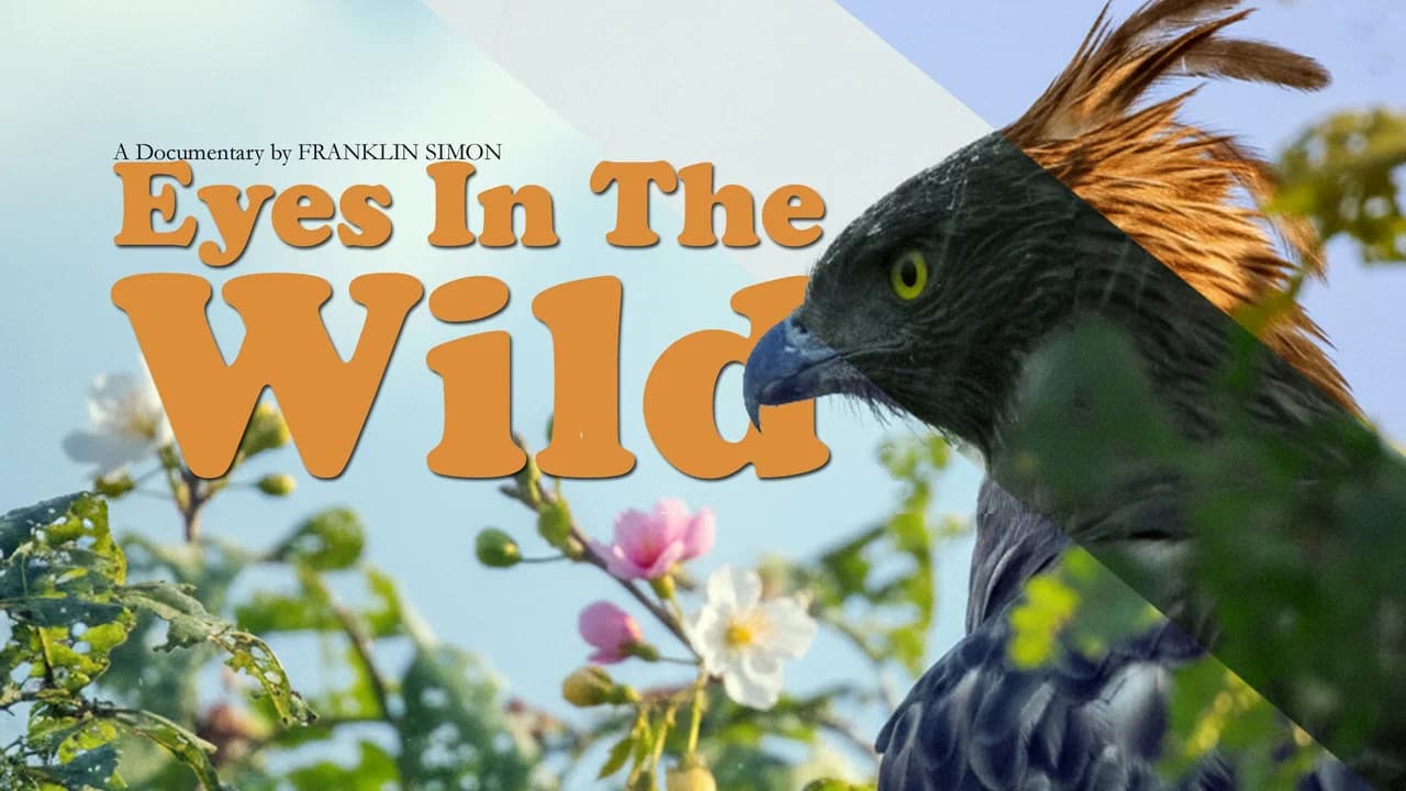 Eyes in the wild