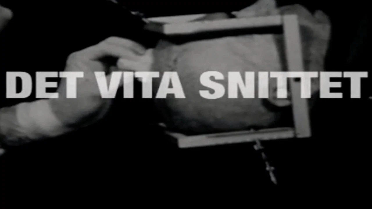 Det vita snittet