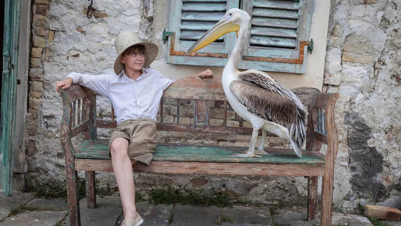 The Durrells
