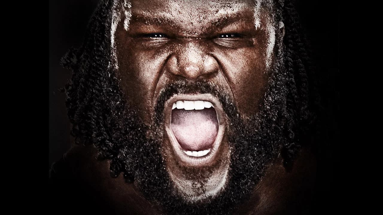 WWE Vengeance 2011