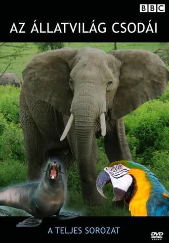 Extraordinary Animals