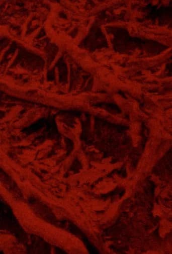 Language of the Entrails