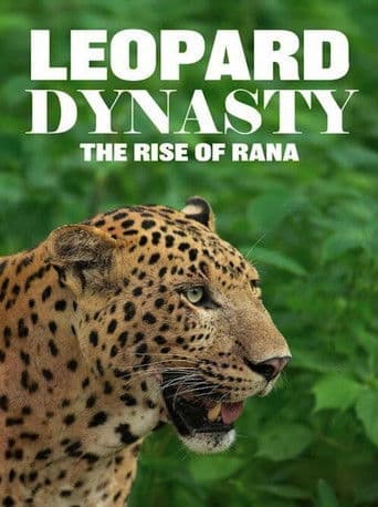 Leopard Dynasty – The Rise of Rana