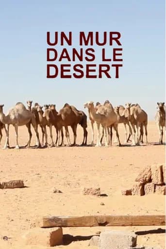 A wall in the desert