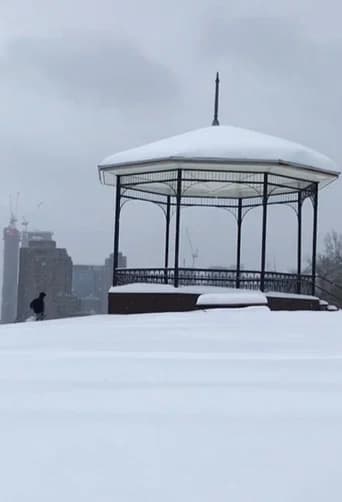 After a snowstorm