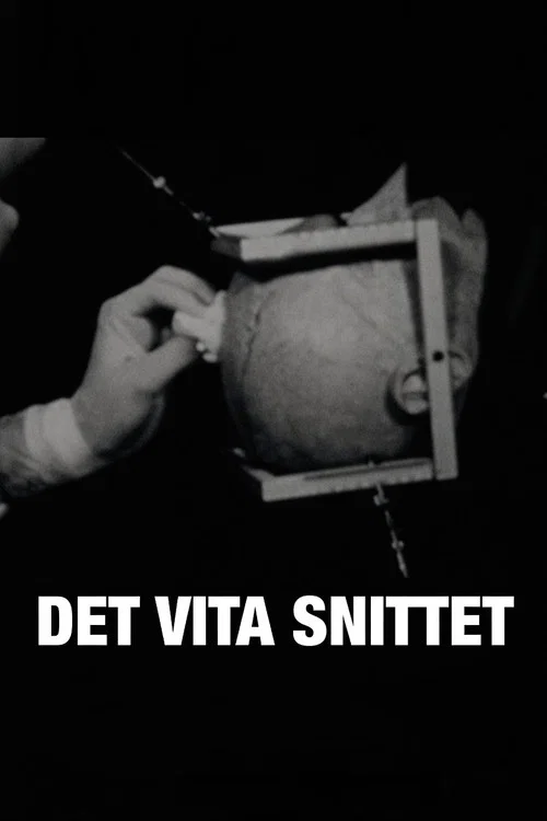 Det vita snittet