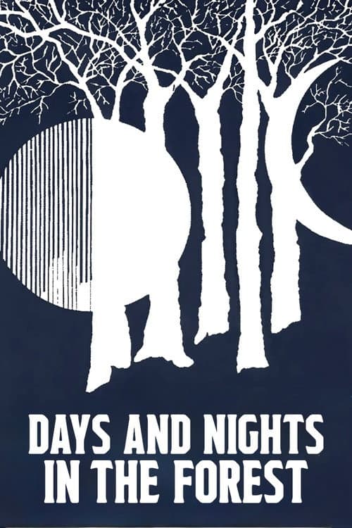 Days and Nights in the Forest