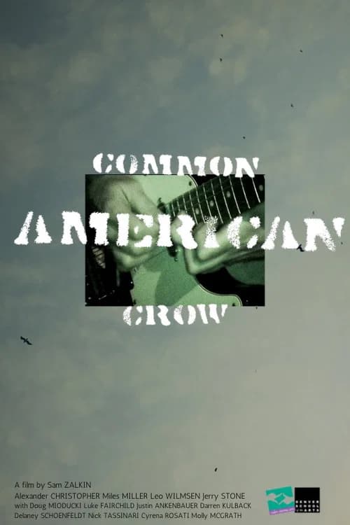 Common American Crow