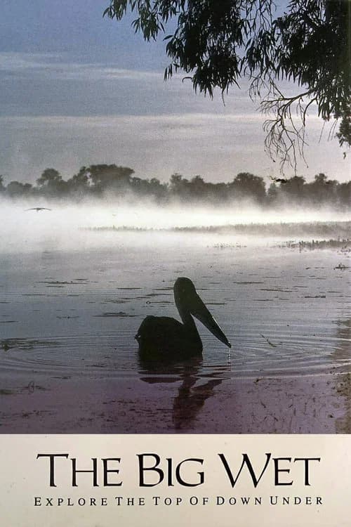 The Big Wet