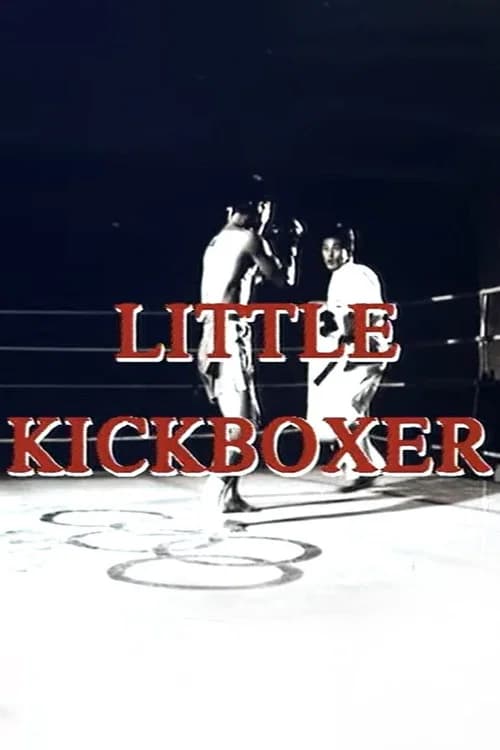 Thunder Ninja Kids 5: Little Kickboxer