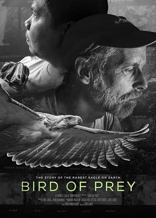 Bird of Prey