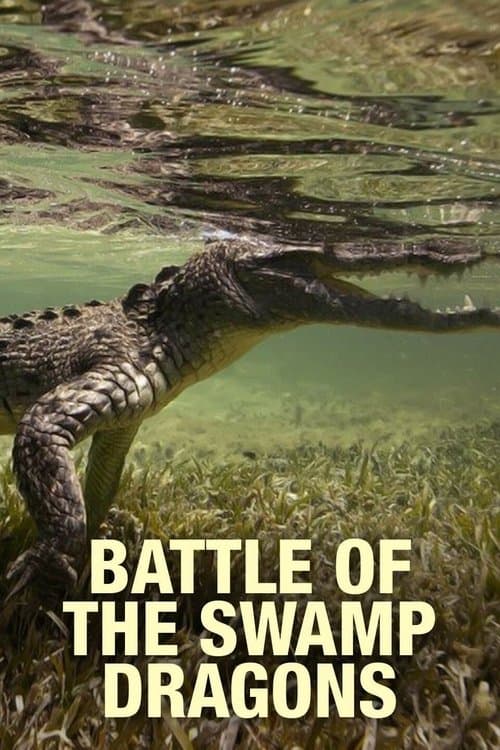Battle Of The Swamp Dragons