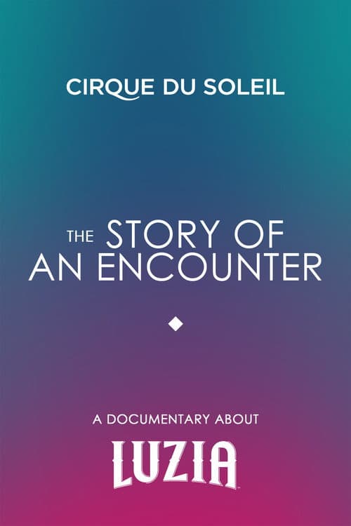 The Story Of An Encounter