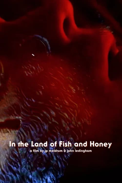 In The Land of Fish and Honey