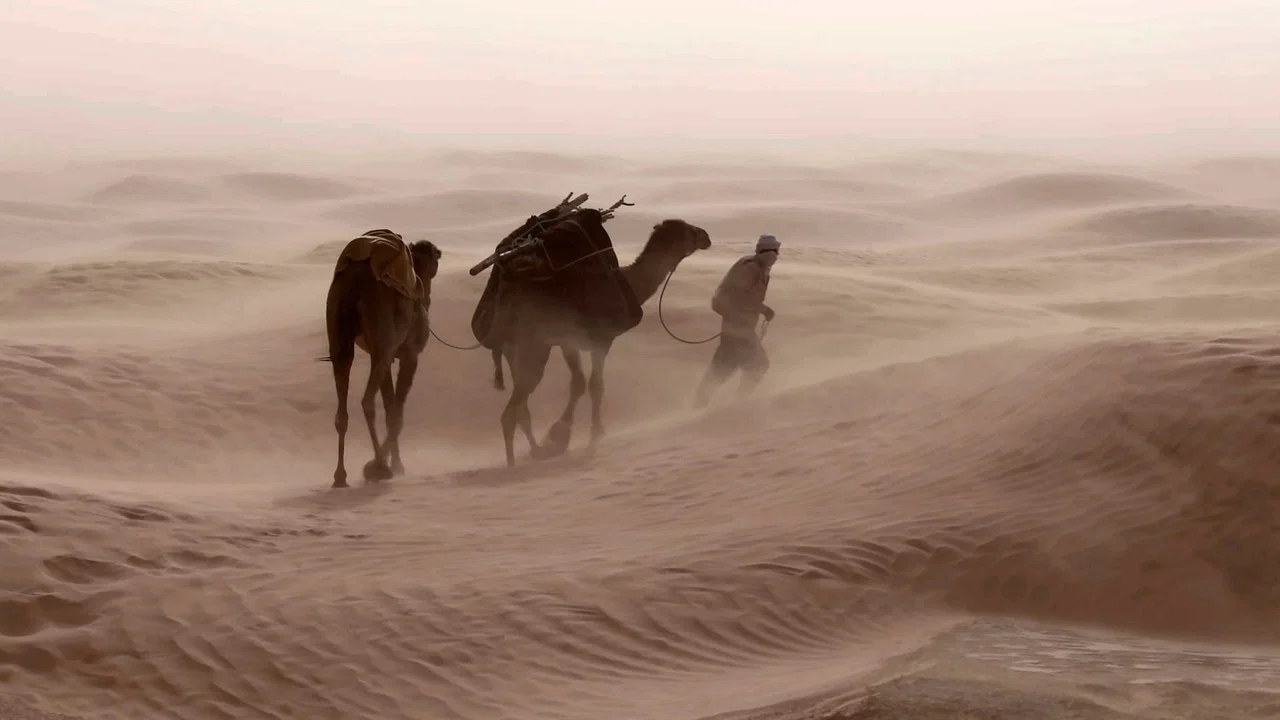 Winds : an Invisible Strength
