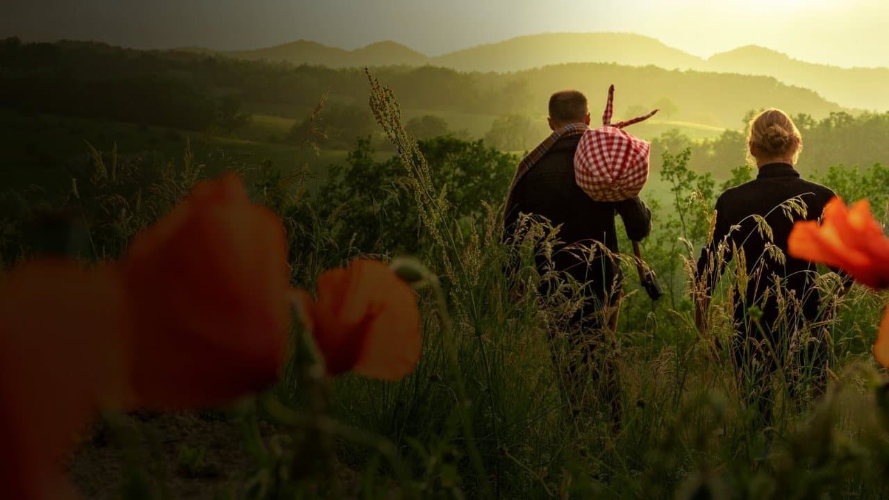 The Naked Travellers