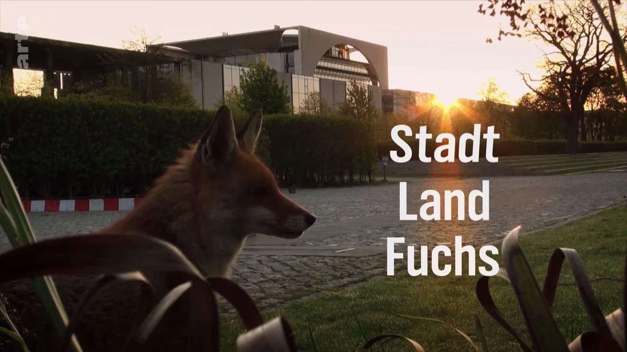 Stadt, Land, Fuchs!