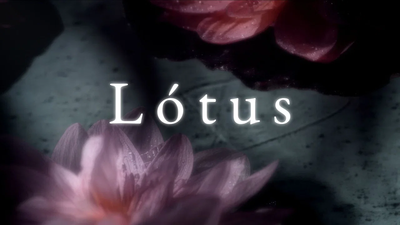 Lótus