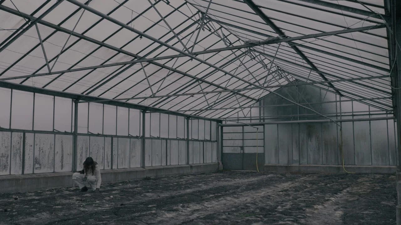 BLOOM - A Dystopian Short Film