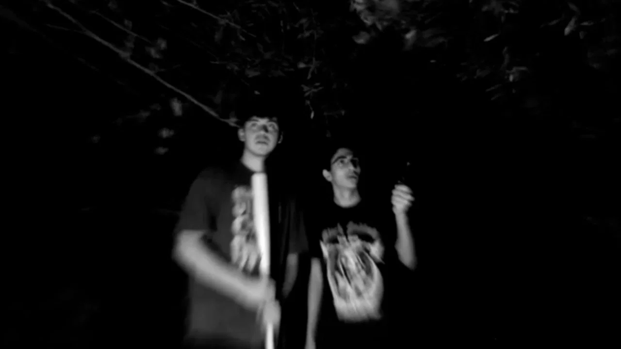 The Pale Night