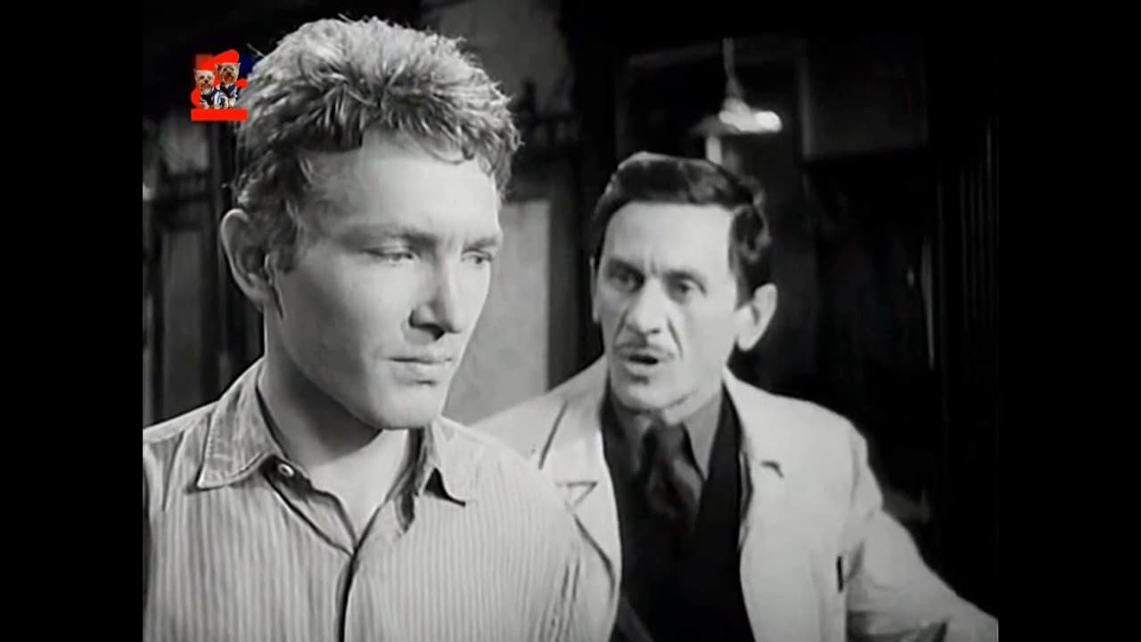 Saint Elizabeth Square