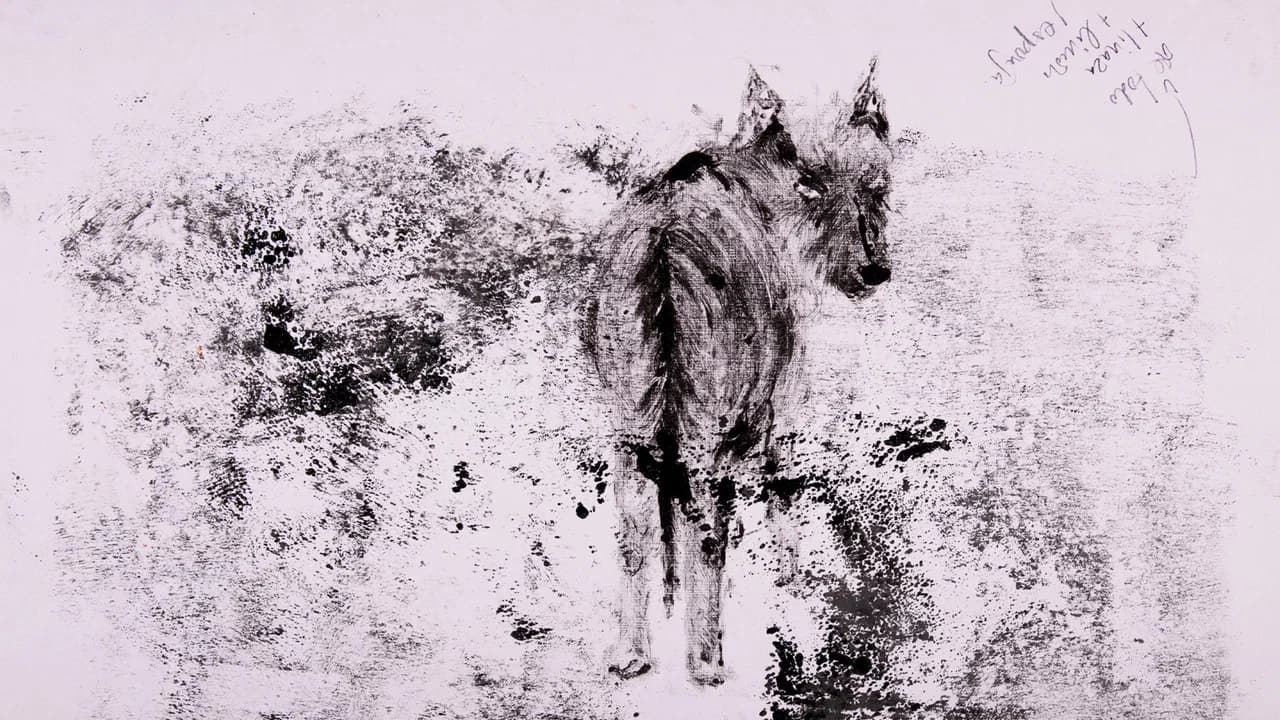 decay