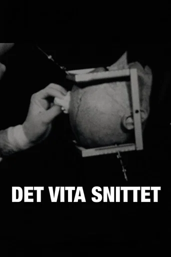 Det vita snittet