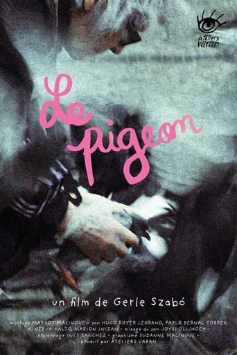 The Pigeon