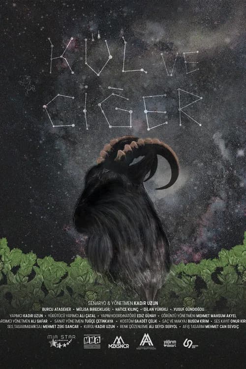 Kül ve Ciğer